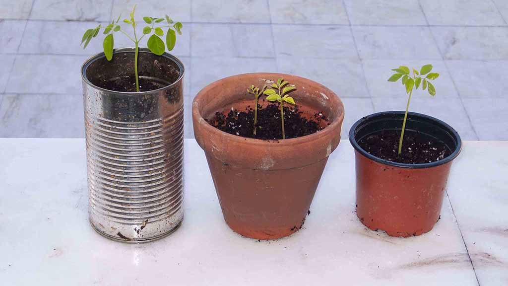 pequenos vasos em chapa, barro e plástico.